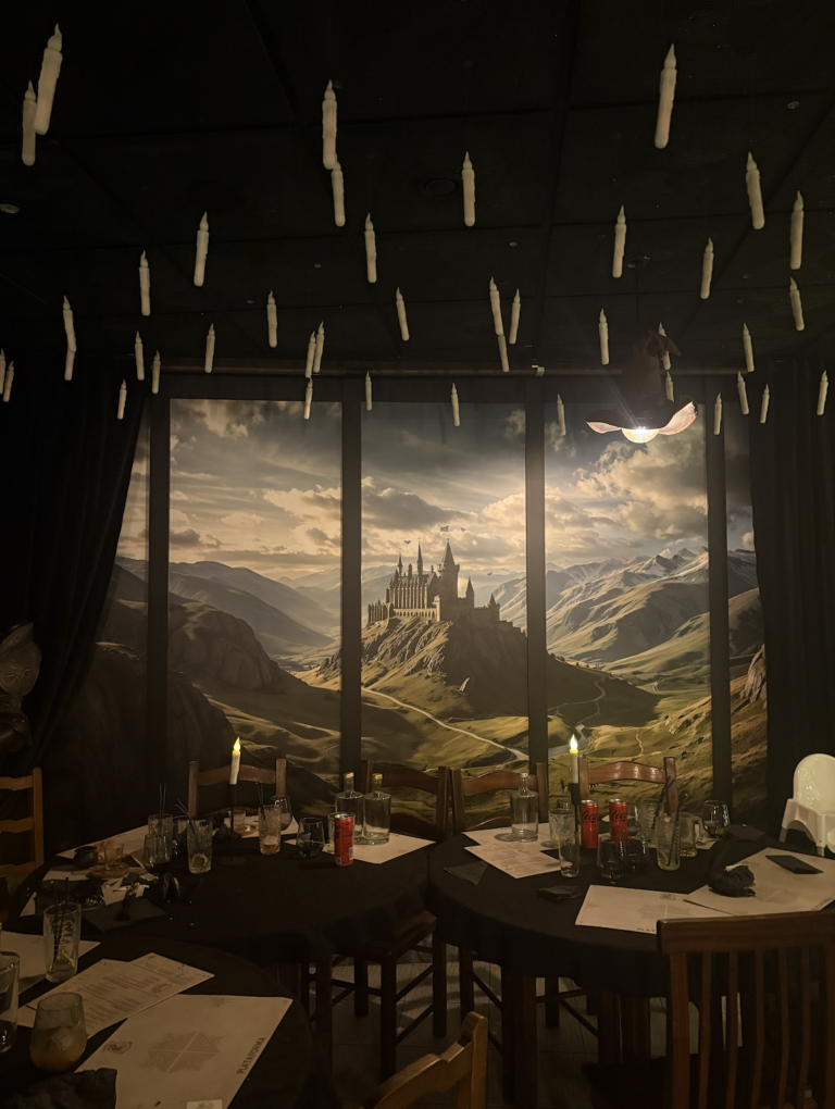 Step into a Magical Harry Potter World in Portugal at Plataforma 9 ¾!